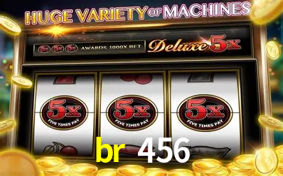 Descubra a Essência do br 456: Nossa História e Compromissos