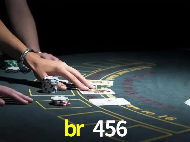 br 456 Salvador - Support