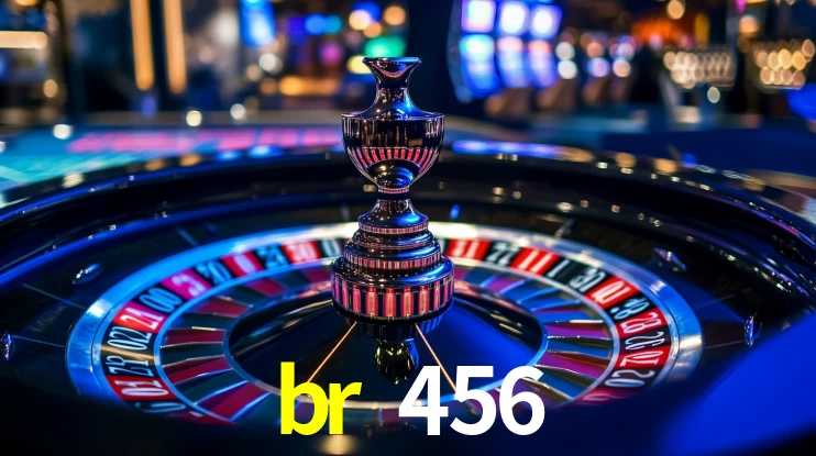 Premium Interface br 456