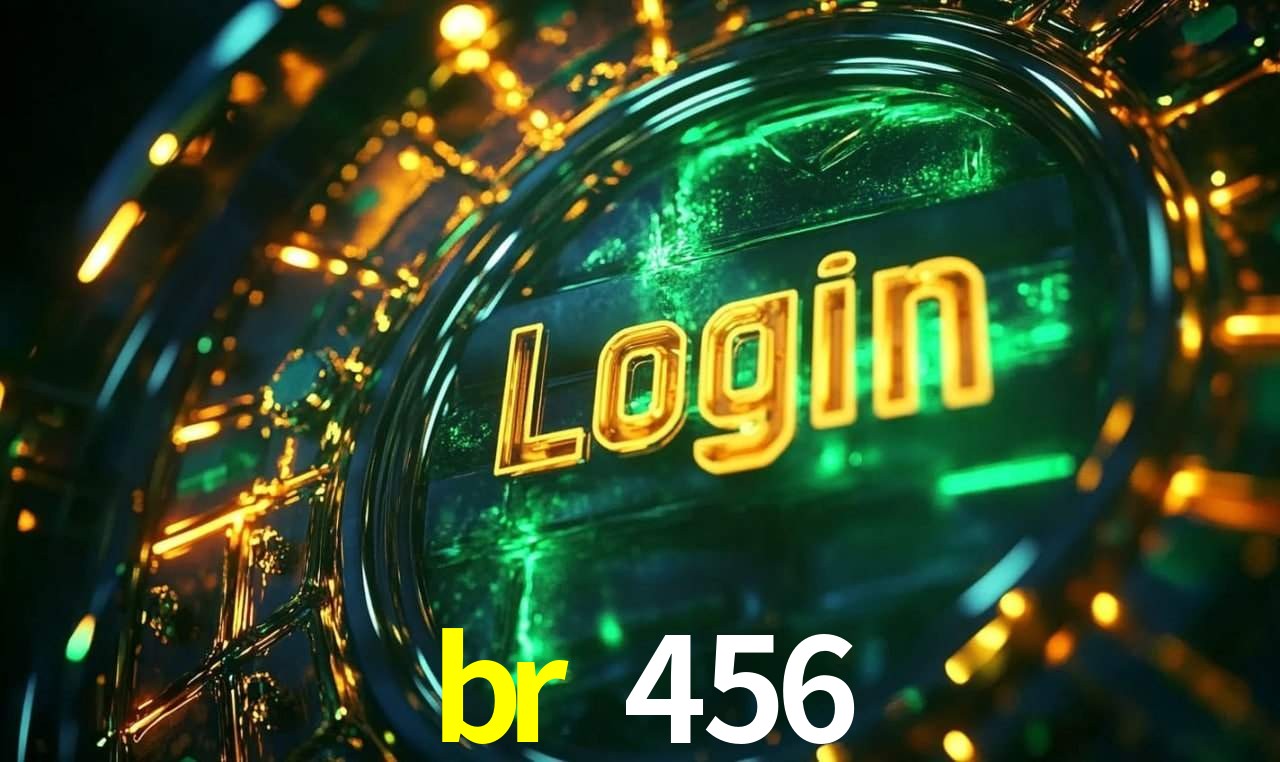 br 456 - Installation Guide